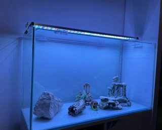 Acuario 100L completo LED y mueble