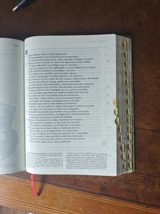 BIBLIA DE NUESTRO PUEBLO PIEL DOS TONOS