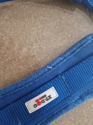 Arnés y Correa para Perro XT-DOG Azul