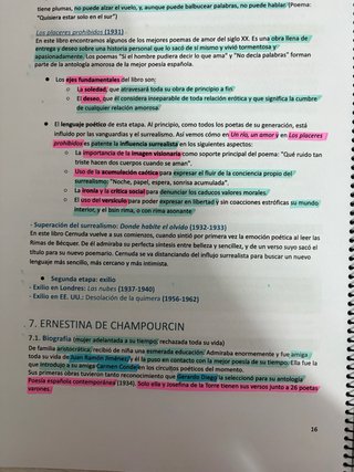 APUNTES TODA LA LITERATURA CASTELLANO 2 BACHI CV
