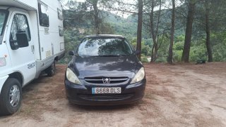 Peugeot 307 2005