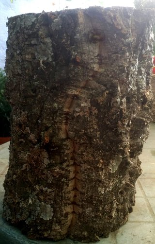 Base para maceta de auténtico alcornoque