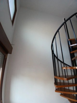 Pintor profesional y económico