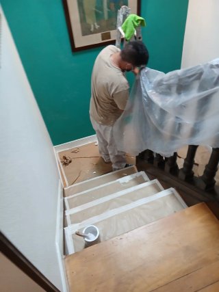 Pintor profesional y económico