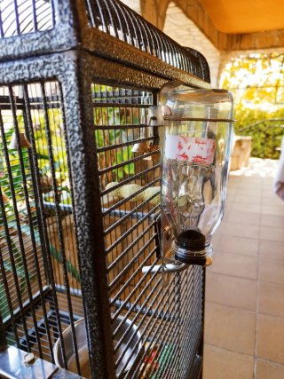 Jaula para loros y ninfas