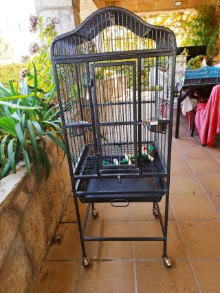 Jaula para loros y ninfas