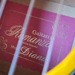 Guitarra
