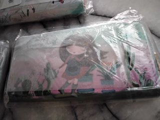 Lote Carteras Nuevas