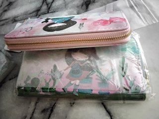 Lote Carteras Nuevas