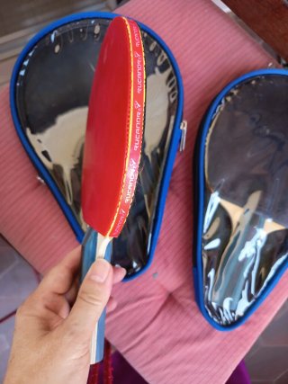 Palas de Ping Pong con Funda