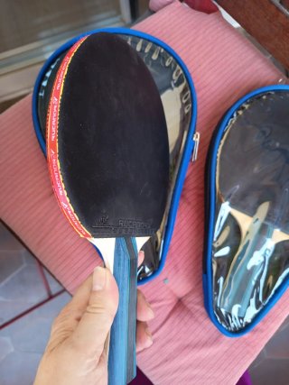Palas de Ping Pong con Funda