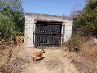 Limpieza y vaciado de viviendas, almacenes o naves