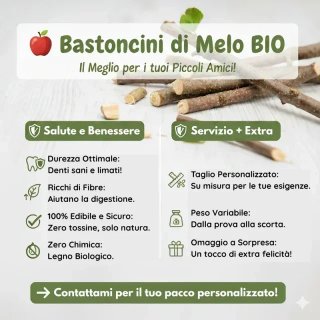 Rametti legno di melo biologici per roditori