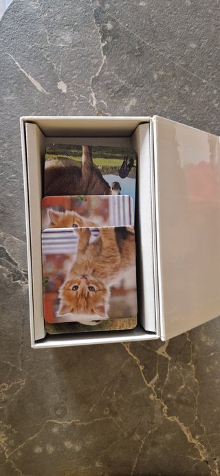 Animal memo, juego de memoria