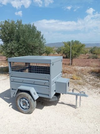 Remolque para coche gris