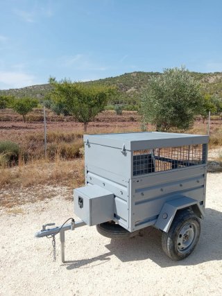 Remolque para coche gris