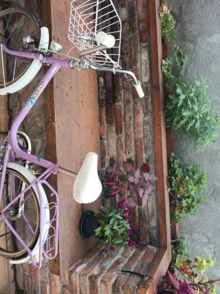 Bicicleta BH Morada
