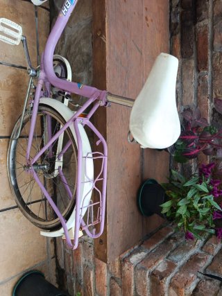 Bicicleta BH Morada