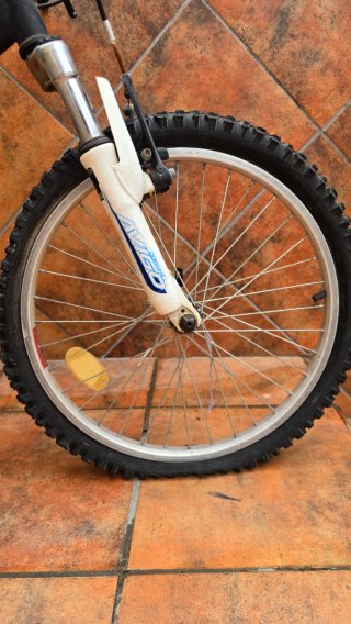 Bicicleta niño AVIGO Downhill 20
