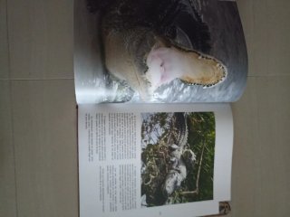 Libros Naturaleza encuadernados