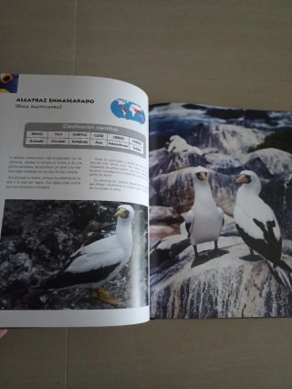 Libros Naturaleza encuadernados