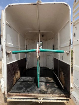 Remolque para caballos Transporte Animales Vivos