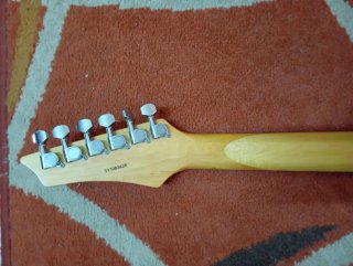 Guitarra Eléctrica Washburn RX10