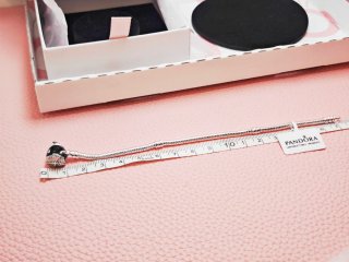 Pulsera 17 Pandora Corazón Alas Plata