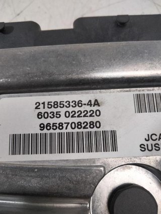 Centralita Suspensión Citroën 264623 9658708280 C6