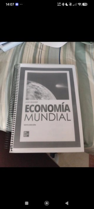 Economía mundial