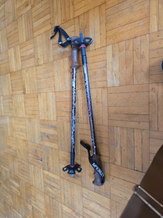Bastones de montaña y ski McKinley