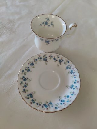 Taza y platillo Royal Albert Memory Lane