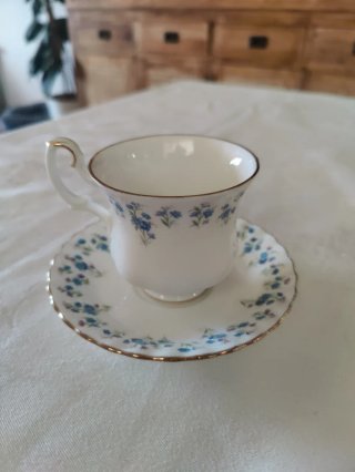 Taza y platillo Royal Albert Memory Lane