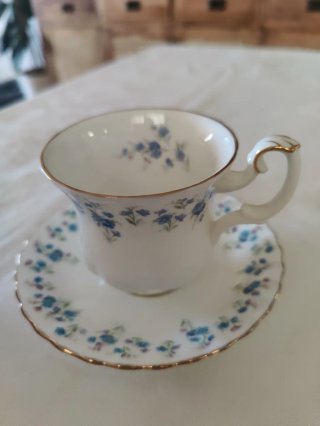 Taza y platillo Royal Albert Memory Lane