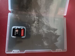 The Elder Scrolls V: Skyrim Nintendo Switch