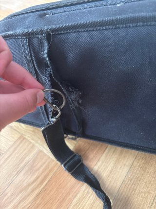 Viola con funda y arco