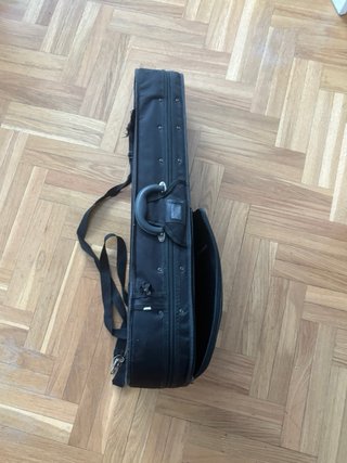 Viola con funda y arco