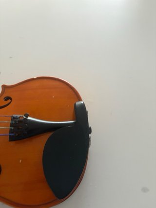 Viola con funda y arco