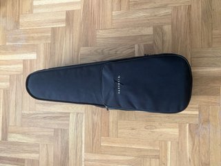 Viola con funda y arco