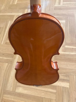Viola con funda y arco