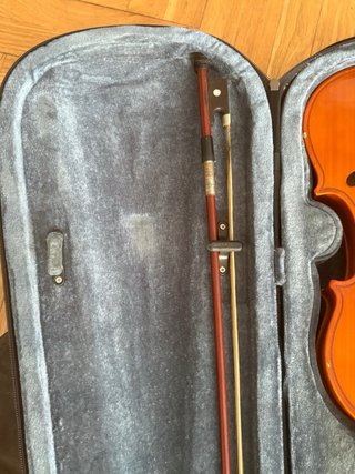 Viola con funda y arco
