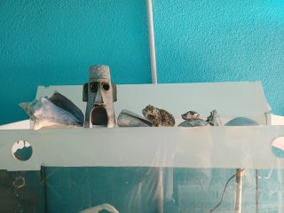 Pecera 100L con accesorios, sin filtro