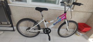 2 Bicicletas Infantiles (2-12 años)