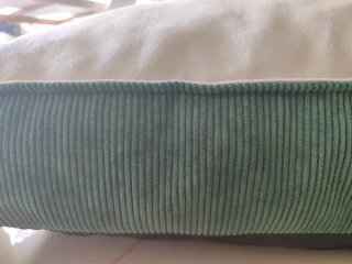 Cama para perro beige aterciopelado y verde pana