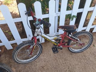 Bicis niño