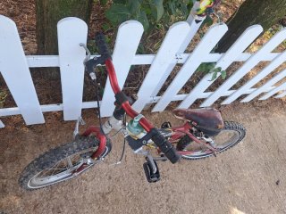 Bicis niño