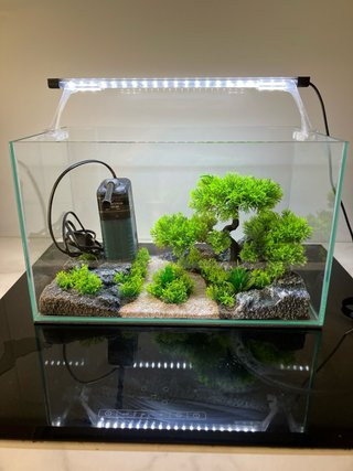 Acuario con filtro, luz y decoración