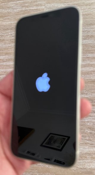 iPhone 12 Apple Buen Estado