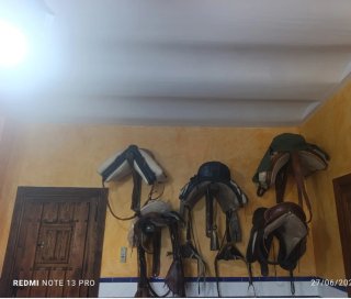 Monturas de casa Lucas con treinta años de antigüe