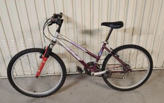Bicicleta Montaña 24